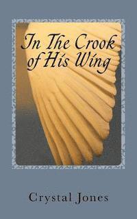 bokomslag In the Crook of His Wing: My Personal Encounters With Angels