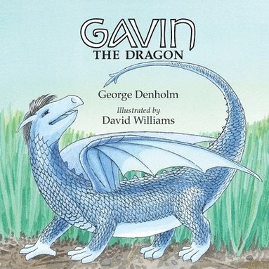 bokomslag Gavin the Dragon