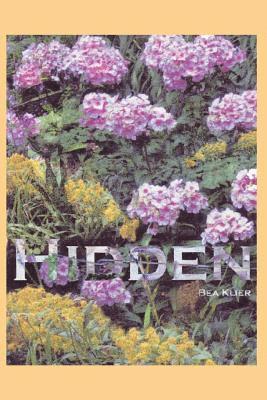 Hidden 1