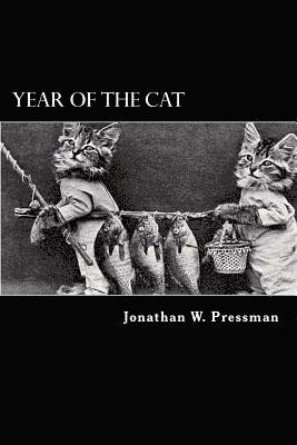 bokomslag Year of the Cat