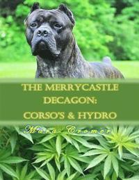 bokomslag The Merrycastle Decagon: Corsos & Hydro: The Merrycastle Decagon