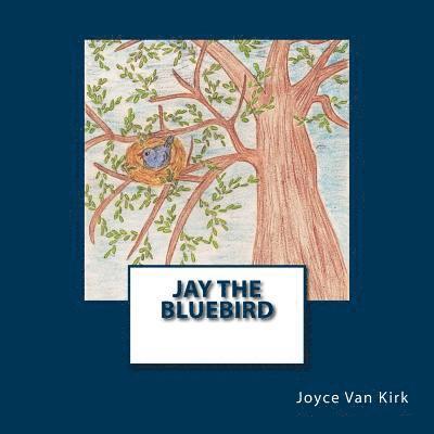 Jay the Bluebird 1