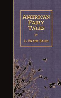 bokomslag American Fairy Tales