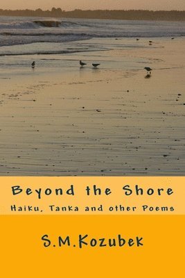 Beyond the Shore 1