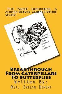 bokomslag Breakthrough From Caterpillars to Butterflies: : Healing from past Hurts, Bondages and Addictions