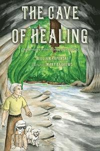 bokomslag The Cave of Healing: Adventures in the Worlds of In and Out