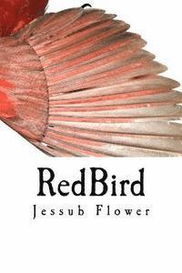 bokomslag RedBird