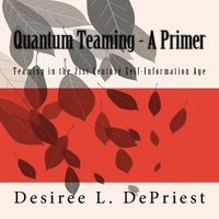 bokomslag Quantum Teaming - A Primer: Teaming in the 21st Century Self-Information Age
