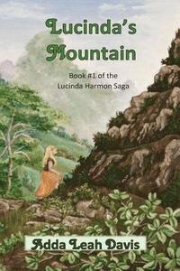 bokomslag Lucinda's Mountain: Book #1 of the Lucinda Harmon Saga