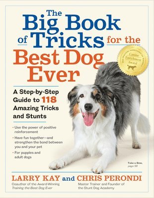 bokomslag The Big Book of Tricks for the Best Dog Ever