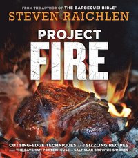 bokomslag Project Fire