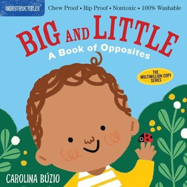 bokomslag Indestructibles: Big and Little: A Book of Opposites