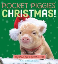 bokomslag Pocket Piggies: Christmas!