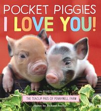 bokomslag Pocket Piggies: I Love You!