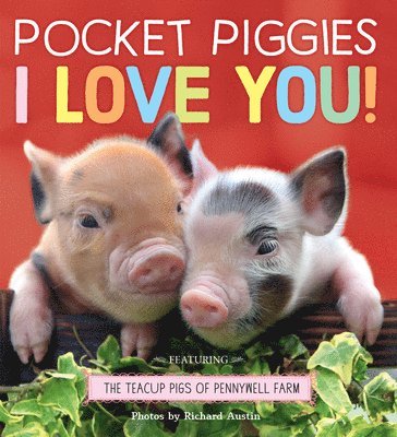 bokomslag Pocket Piggies: I Love You!