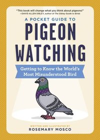 bokomslag A Pocket Guide to Pigeon Watching