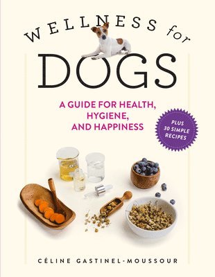 bokomslag Wellness for Dogs