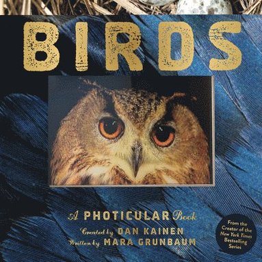 Dan Kainen, Mara Grunbaum - Birds, Inbunden