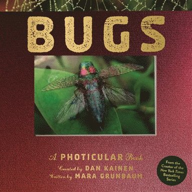 Dan Kainen, Mara Grunbaum - Bugs, Inbunden