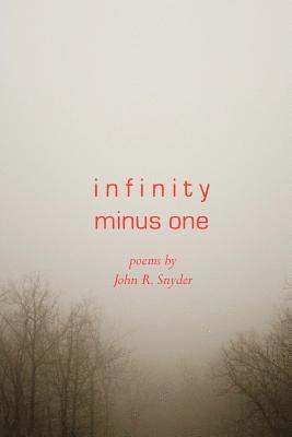 John R. Snyder - Infinity Minus One, Häftad