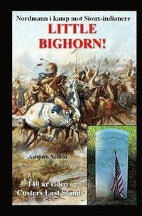 bokomslag Little Bighorn!