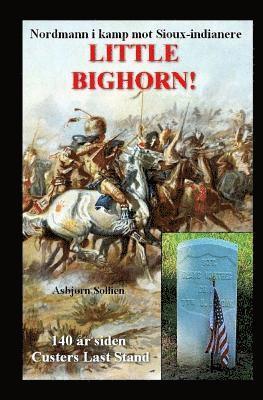 Little Bighorn! 1