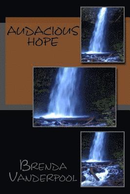 Audacious Hope 1