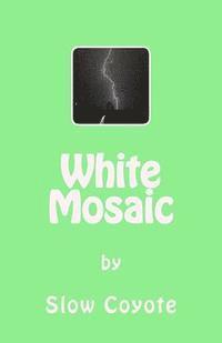 White Mosaic 1