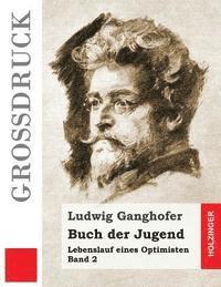 bokomslag Buch der Jugend (Großdruck): Lebenslauf eines Optimisten Band 2