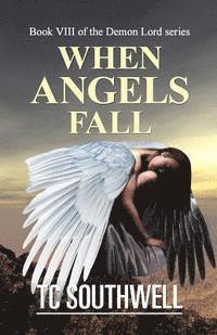 bokomslag When Angels Fall