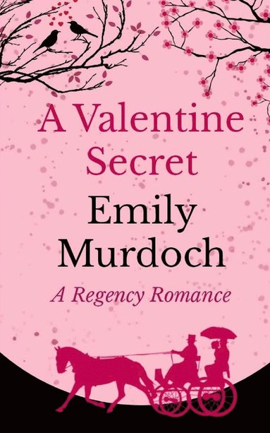 bokomslag Valentine Secret