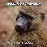 bokomslag Wildlife of Tanzania: An African Photo Safari for All Ages