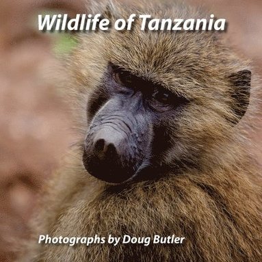 bokomslag Wildlife of Tanzania: An African Photo Safari for All Ages