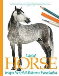 Isolated Horse Images for Artist's Reference and Inspiration 1