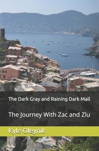 bokomslag The Dark Gray and Raining Dark Mall: The Journey With Zac and Zlu