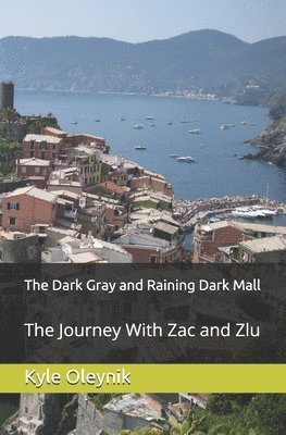 Swyrich Corporation, Stella Oleynik - The Dark Gray and Raining Dark Mall: The Journey With Zac and Zlu, Häftad