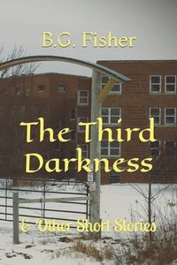 bokomslag The Third Darkness: & Other Short Stories