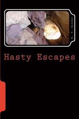bokomslag Hasty Escapes: Book One of Some Hasty Adventures