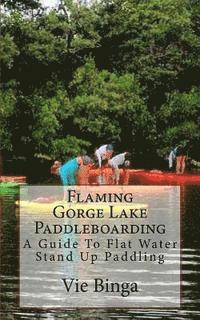 bokomslag Flamin Gorge Lake Paddleboarding: A Guide To Flat Water Stand Up Paddling