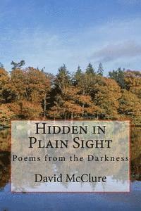 bokomslag Hidden in Plain Sight: Poems from the Darkness