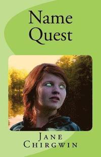 bokomslag Name Quest