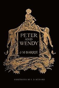 bokomslag Peter and Wendy: Illustrated