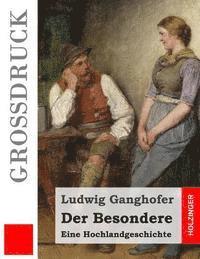 bokomslag Der Besondere (Großdruck): Eine Hochlandgeschichte