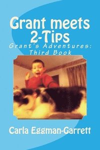 bokomslag Grant meets 2-Tips: Grant's Adventures: Third Book