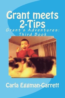 Grant meets 2-Tips: Grant's Adventures: Third Book 1