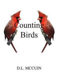 bokomslag Counting Birds