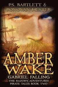 bokomslag Amber Wake: Gabriel Falling