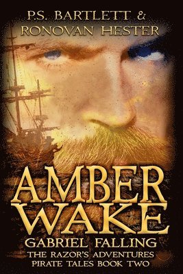Amber Wake: Gabriel Falling 1