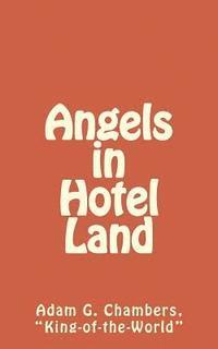 bokomslag Angels in Hotel Land