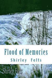 bokomslag Flood of Memories